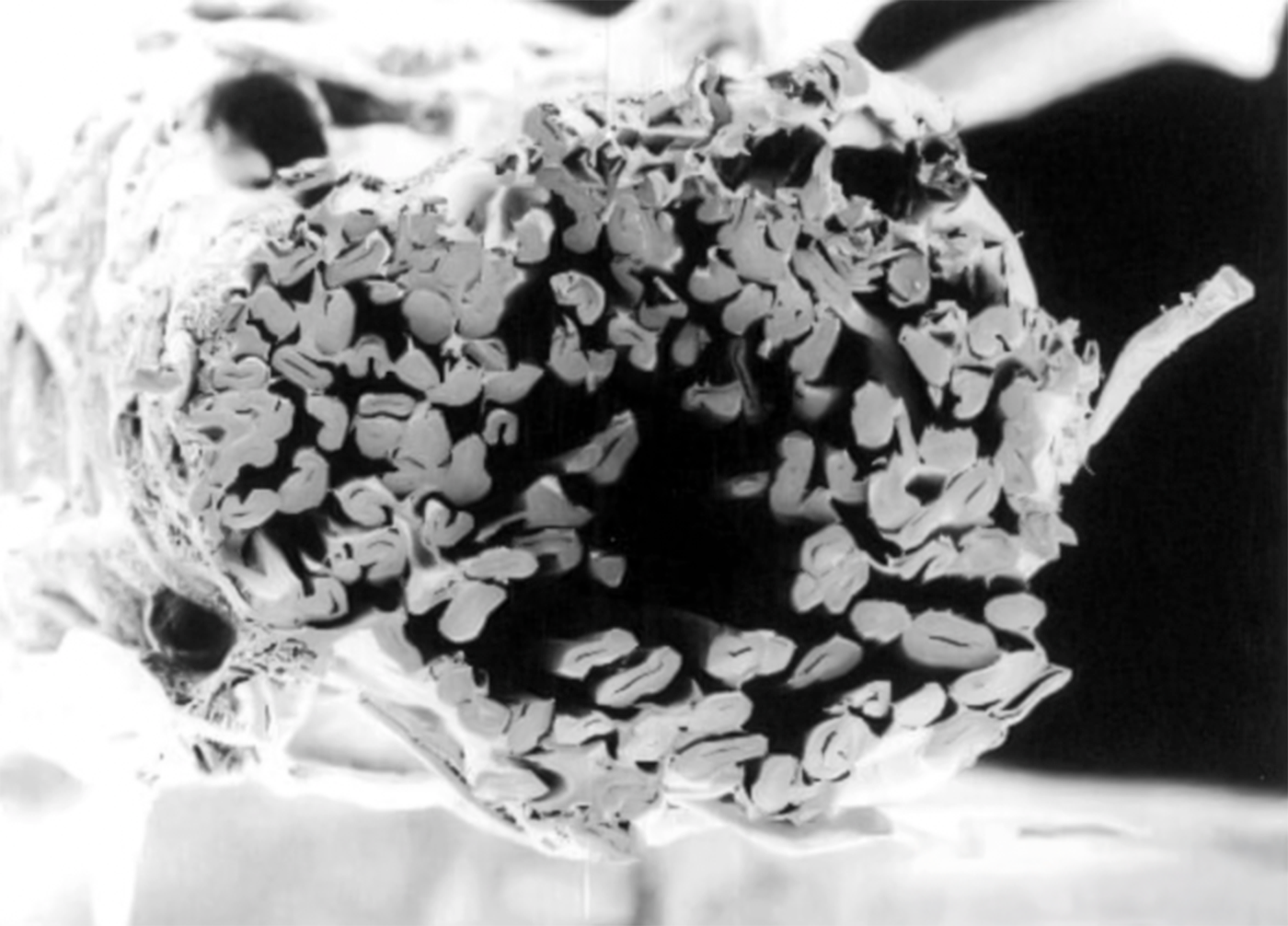 Why Do We Use Hollow Yarn?